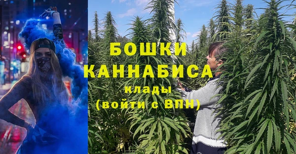 ГАЛЛЮЦИНОГЕННЫЕ ГРИБЫ Алзамай