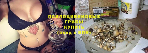 прущие грибы Алексеевка
