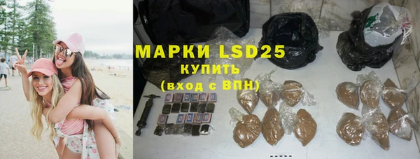 ГАЛЛЮЦИНОГЕННЫЕ ГРИБЫ Алзамай